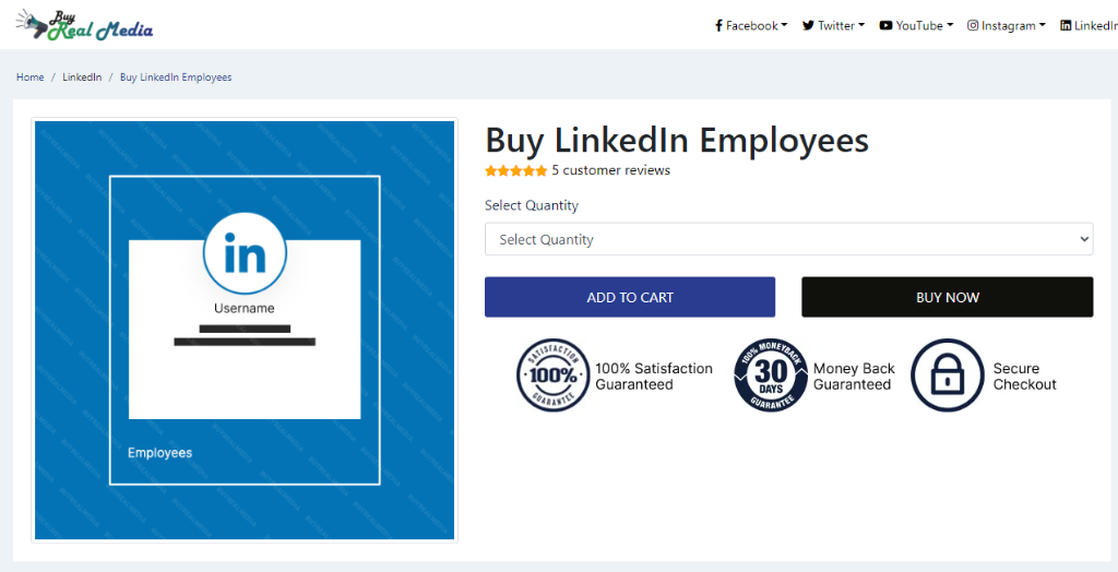 Buy Real Media Buy LinkedIn Employees