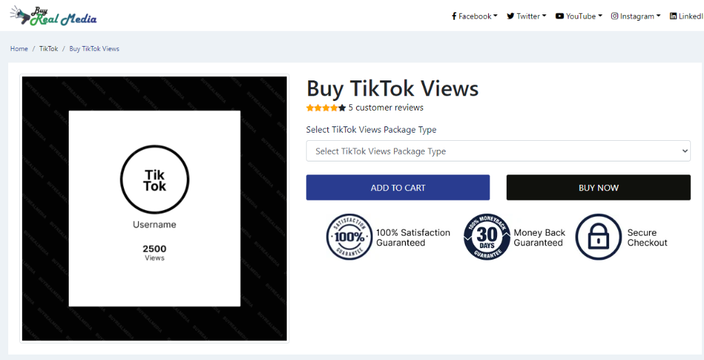 Buy Real Media Buy TikTok Video Views