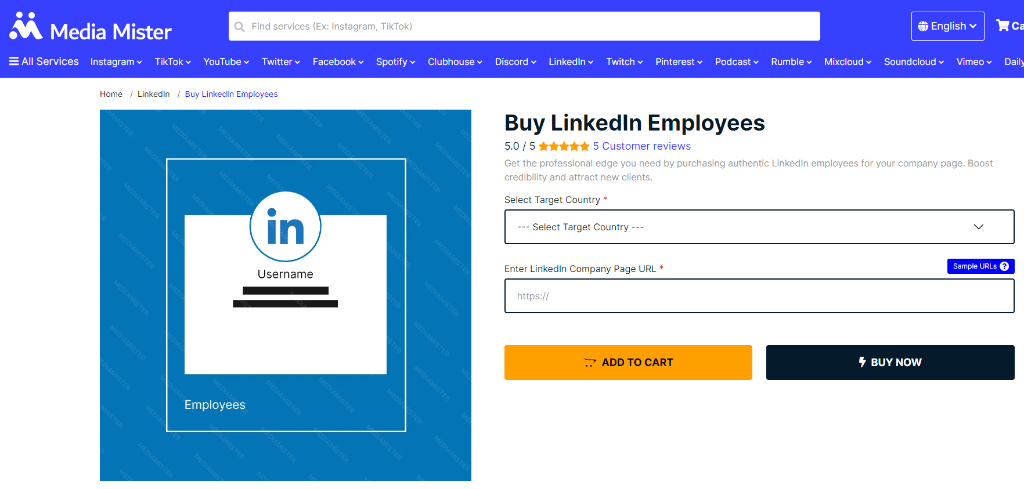 Media Mister Buy LinkedIn Employees